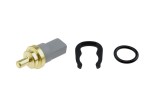 Senzor temperatura apa Vw, Audi, Skoda, Seat, Porsche, NTY ECT-VW-000