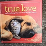 True love, 24 surprising Stories of Animals Affection