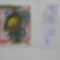 POLINEZIA FRANCEZA - FRUCT - 1959 - MI 7 EURO - NECIRCULAT.