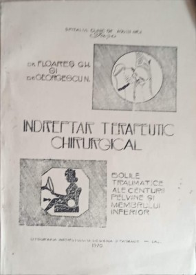 INDREPTAR TERAPEUTIC CHIRURGICAL. BOLILE TRAUMATICE ALE CENTURII PELVINE SI MEMBRULUI INFERIOR-GH. FLOARES,-241711 foto