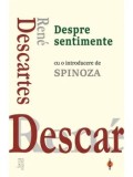 Cumpara ieftin Despre sentimente. Cu o introducere de Spinoza/Rene Descartes