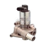 Meat &amp;amp; Doria Supapa EGR