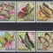 Burundi 1968 - Fluturi, 3 serii, 6 poze, MNH