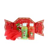 Set cadou cosmetice de Craciun