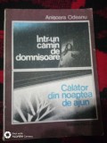 Intr-un camin de domnisoare-Calator in noaptea de ajun-Anisora Odeanu, Alta editura