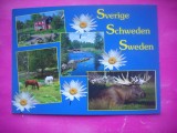 HOPCT 16352 ASPECTE DI.....- SUEDIA -EUROPA -NECIRCULATA