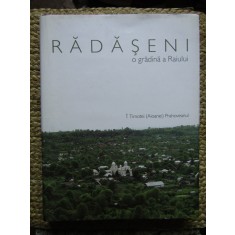 RADASENI , O GRADINA A RAIULUI de ARHIMANDRIT TIMOTEI AIOANEI , 2017