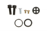 Kit reparatie robinet combustibil compatibil: CAN-AM DS 70/90/250 2006-2016