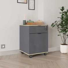 Corp Mobil Adore Rio Rollbox Office, usa, sertar cu cheie, 41 x 61 x 41 cm foto