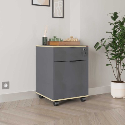 Corp Mobil Adore Rio Rollbox Office, usa, sertar cu cheie, 41 x 61 x 45 cm foto