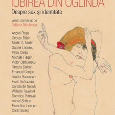 Iubirea din oglindă - Paperback brosat - Andrei Pleșu, Andrei Şerban, Cristi Danileţ, Domnica Petrovai, Emanuel Conţac, Florentina Ionescu, Florin Buh