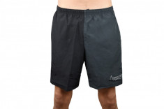 Pantaloni scurti Nike Run Short BV4856-010 negru foto