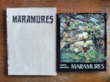 Lot 4 albume vintage, foto, monografice, despre Maramures / R6P1F