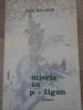Mierle in Poligon - Paul Balahur - Poezii Junimea 1989, Carte Beletristica Rom&acirc;nă