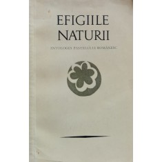 Efigiile Naturii. Antologia Pastelului Romanesc - Petre Stoica, Mircea Tomus , J10