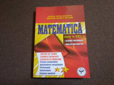 Matematica clasa a XII -a- Catalin Petru Nicolescu, Madalina Georgia Nicolescu foto