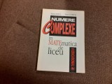 R2 MARCEL CHIRITA MARIAN DINCA NUMERE COMPLEXE IN MATEMATICA DE LICEU