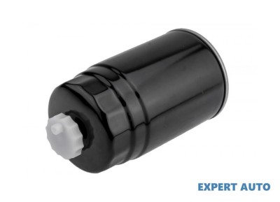Filtru combustibil w Hyundai SANTA FE II (CM) 2005-2016 #1 foto