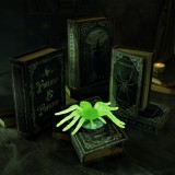 Decor fosforescent de Halloween - paianjen - ventuza - 8 x 5 cm - 4 buc pachet