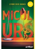 Micul urs