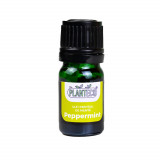 Ulei esential organic Peppermint (Menta), 5 ml, Planteco