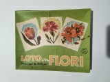 Loto cu Flori, IPBT / CJP