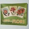 Loto cu Flori, IPBT / CJP