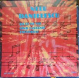 Disc Vinil Nelu Danielescu - De Ce Nu Vii C&icirc;nd Castanii &Icirc;nfloresc-Electrecord-EDE 01837