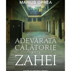 Adevărata călătorie a lui Zahei. Vasile Voiculescu şi taina „Rugului Aprins” - Paperback - Marius Oprea - Corint