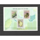 GUINEA 2004 METEORITI