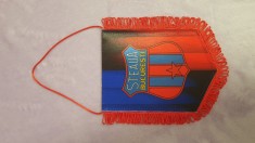 Fanion Steaua foto