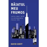 Baiatul meu frumos. Lupta unui tata cu dependenta fiului sau - David Sheff, Trei