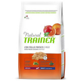 Trainer Natural Adult Medium, chicken and rice 3 kg, TRAINER - NOVA FOODS