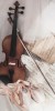 Husa Personalizata SAMSUNG Galaxy A9 2018 Violin