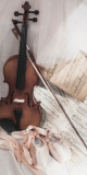 Husa Personalizata ALLVIEW A5 Duo Violin