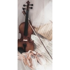 Husa Personalizata SAMSUNG Galaxy Note 9 Violin
