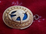 piesa de vestimentatie masonica,port medalion Mason,desprafuit,stareFB,T.GRATUIT