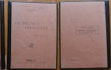 D. Marmeliuc, Pe drumul idealului, Cernauti, 1920, editia 1