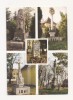 FA11 - Carte Postala- UNGARIA - Jánosháza , necirculata, Circulata, Fotografie