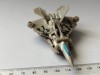 Bnk jc Transformers Rotf Hftd Legends Starscream Moc 2009