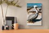 Tablou Canvas, "Pelican visător pe plajă &icirc;nsorită", Pelican, Plajă, Mare, Nisip, Alge, Cer Albastru, Pene, Pasăre, Apă, Natură, 26 x 39 cm, CMCLASS