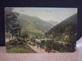 Prahova - Sinaia - Valea Rea