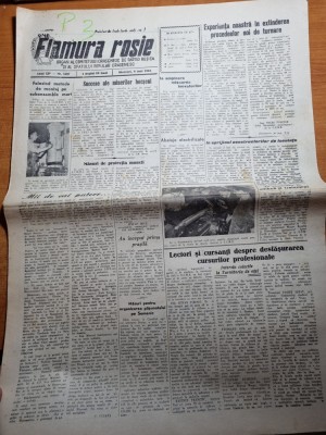 flamura rosie 8 mai 1963-articol resita,bocsa,semenic foto