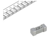 Siguranță &Icirc;nt&acirc;rziere 4A 250V SMD Ceramică