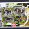 MADAGASCAR 1999 - FLUTURI 4 VALORI IN M/SH, NEOBLITERATA -MAD 03