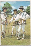 Bnk cp Calusari ( Jud Arges ) - Vedere - necirculata, Printata