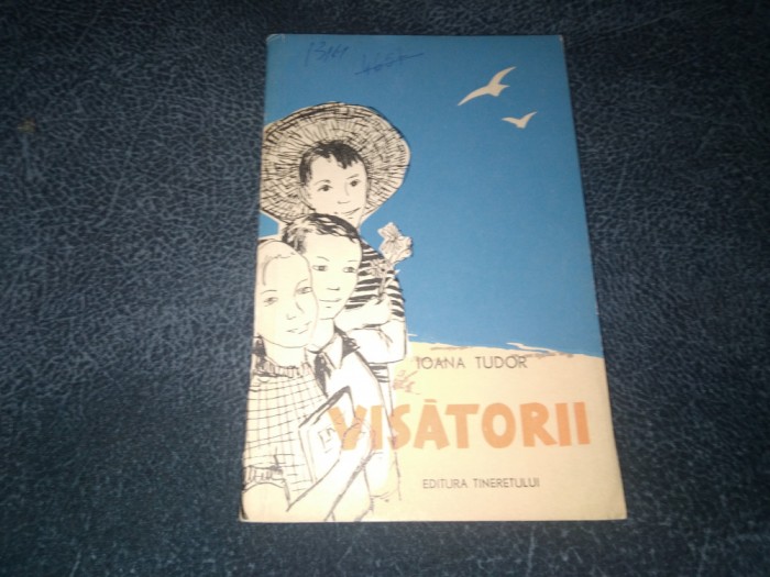 IOANA TUDOR - VISATORII