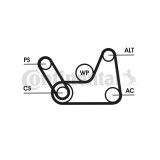 Continental Ctam Set curea transmisie cu caneluri