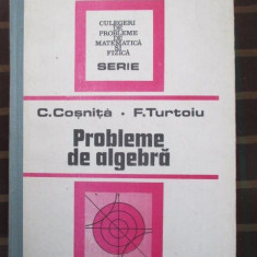 Probleme de algebra C. Cosnita, F. Turtoiu