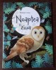 Emily Bone - Descopar lumea. Noaptea si ziua
